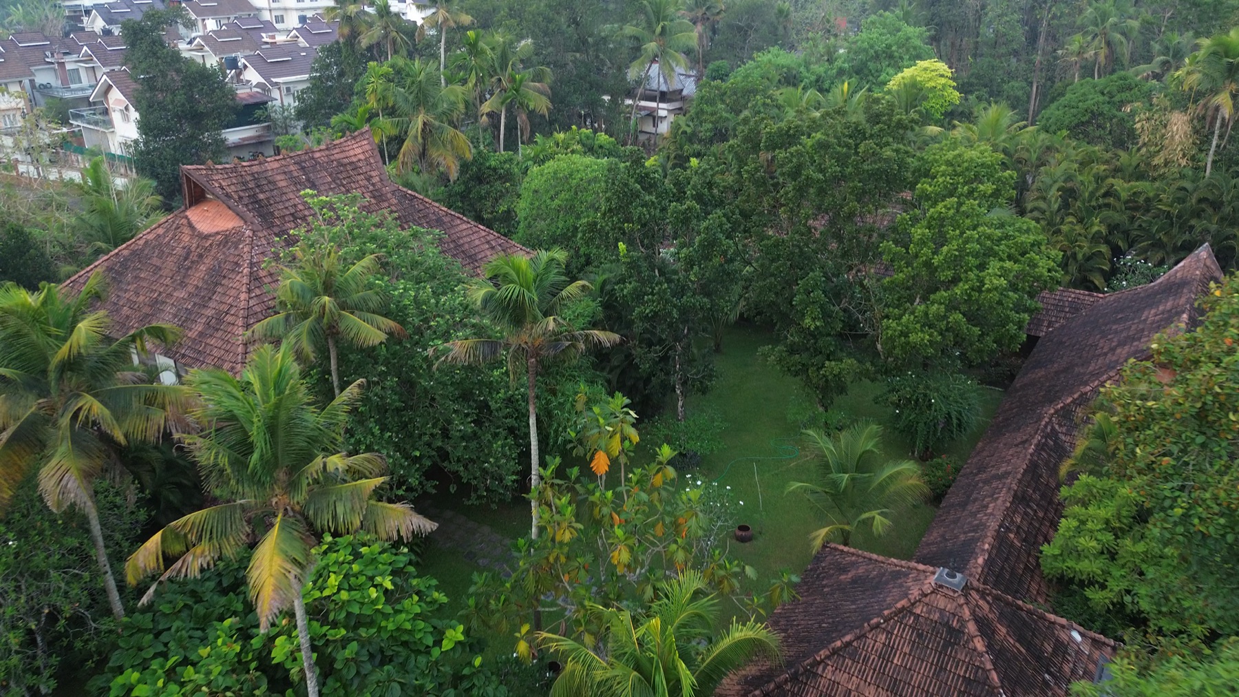 Aerial view of the tiled roofs inside the dense green of the estate