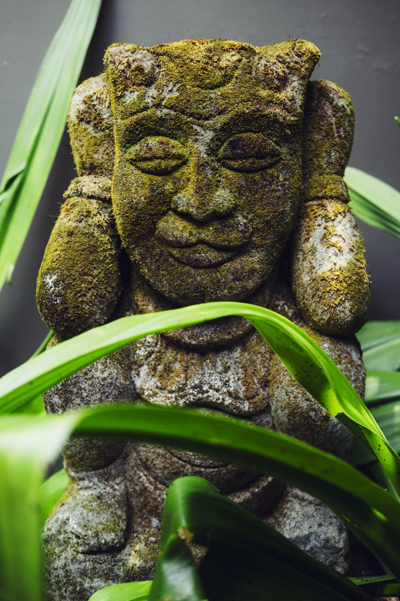 A moss-covered carved face half hidden by leaves