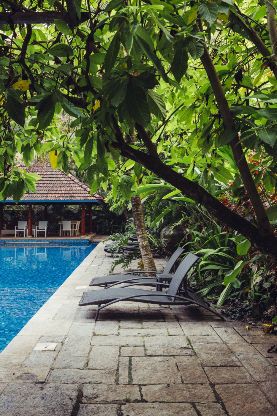 Loungers beside the estate pool