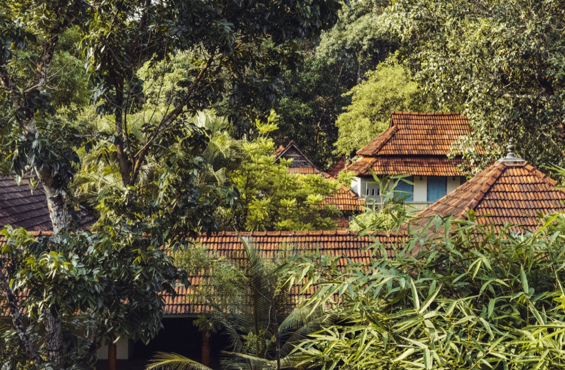 Clay-tiled rooftops of the pavilions among trees