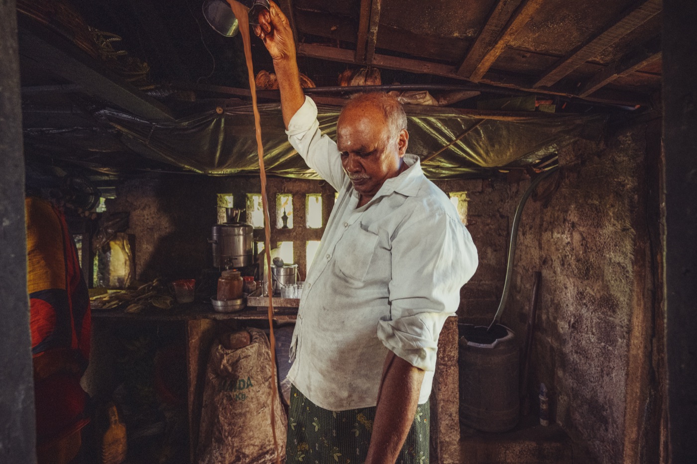 The toddy tapper climbing a palm